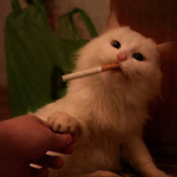 Neocoznala