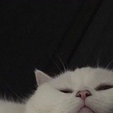 imschngbl