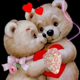 fari1312