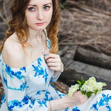 Foxwar