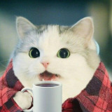 kung_fu_padla