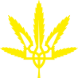 nxll
