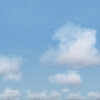 g1590391