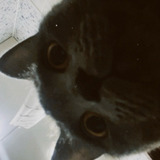 Eliii