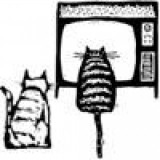 Shurakabra