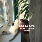 lirallei