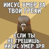 sfajrat