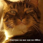 fdxcd