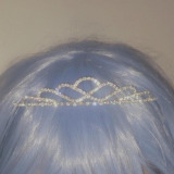 Prinzess_Leidens