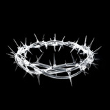 Sensation2102