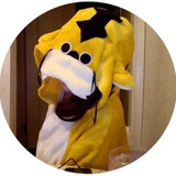 Ryouchi