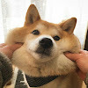 Gaia