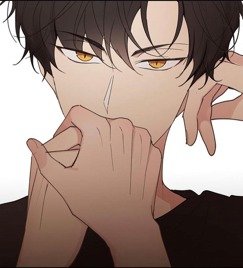raven_ro
