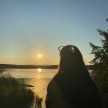 id822223782