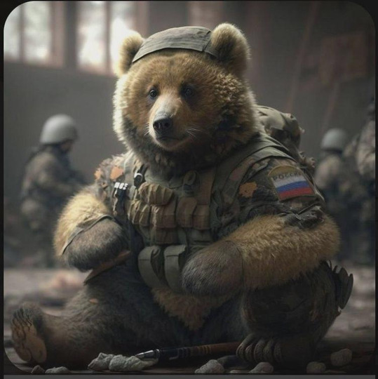 nik231981