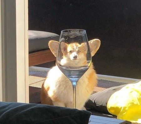 bbh__8