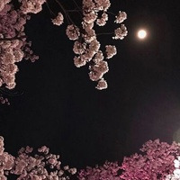 id403949072
