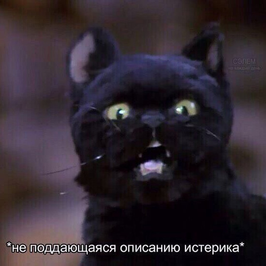 Stasy_tk