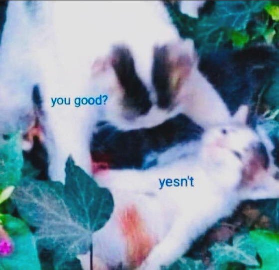 Yomichannya