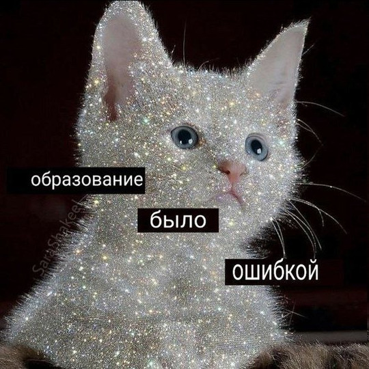 Hihi