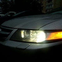 id4442770