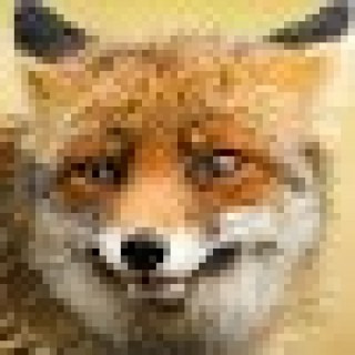 Sam_Wins