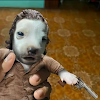 Dexter_Morgan5