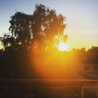 Cryptic_Morning