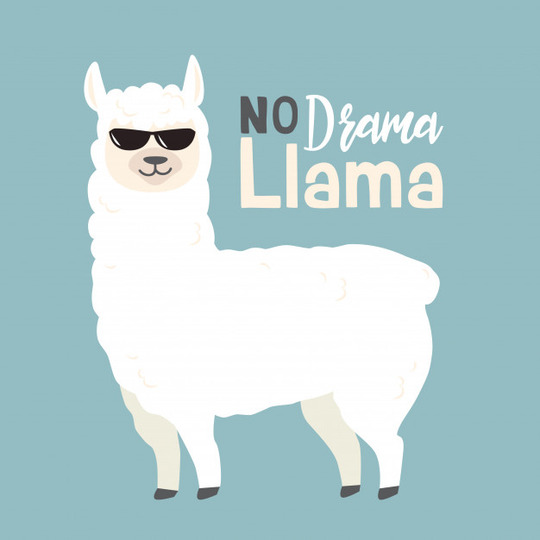 Space_Llama