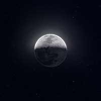 id155928279