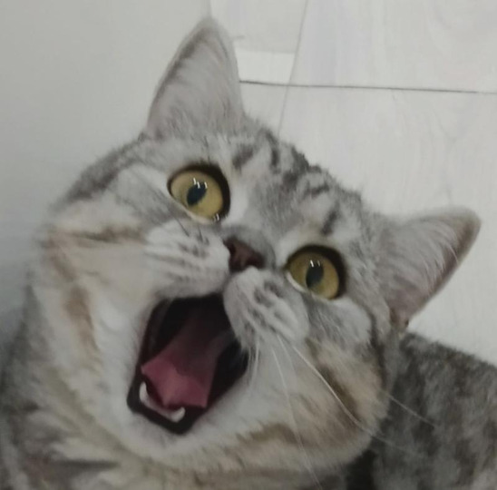 m8rin