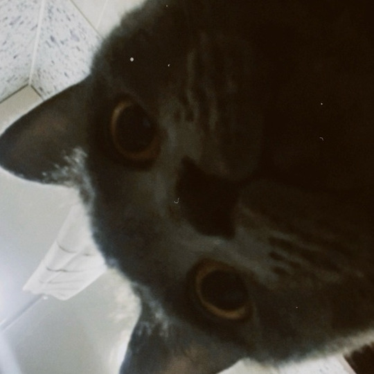 Eliii