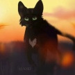 Ravenpaw228