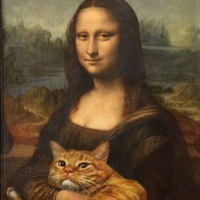 id50894553