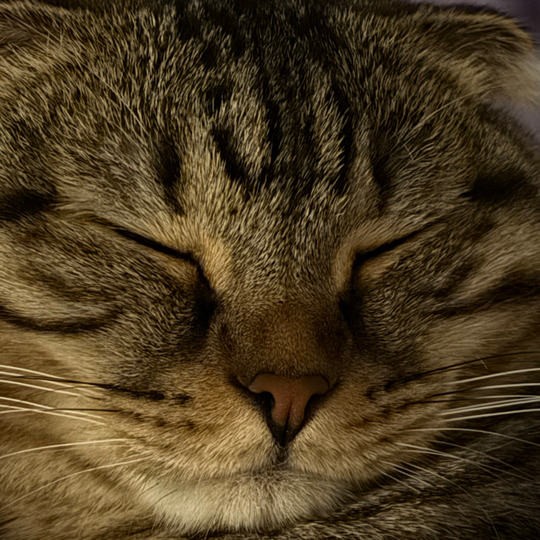 mzng_dbl