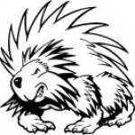 porcupine
