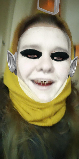 SentAisl