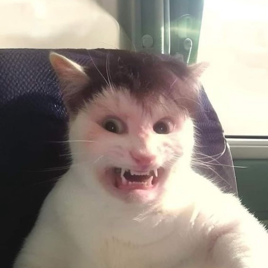 imamonstr