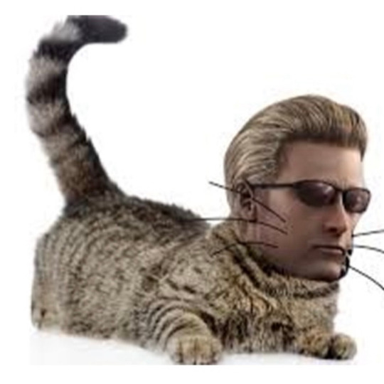 КиноШут