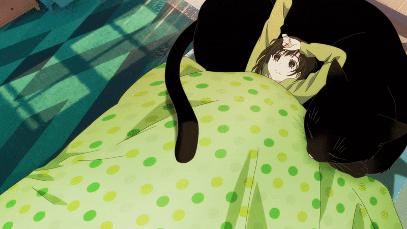 Кот домохозяин аниме