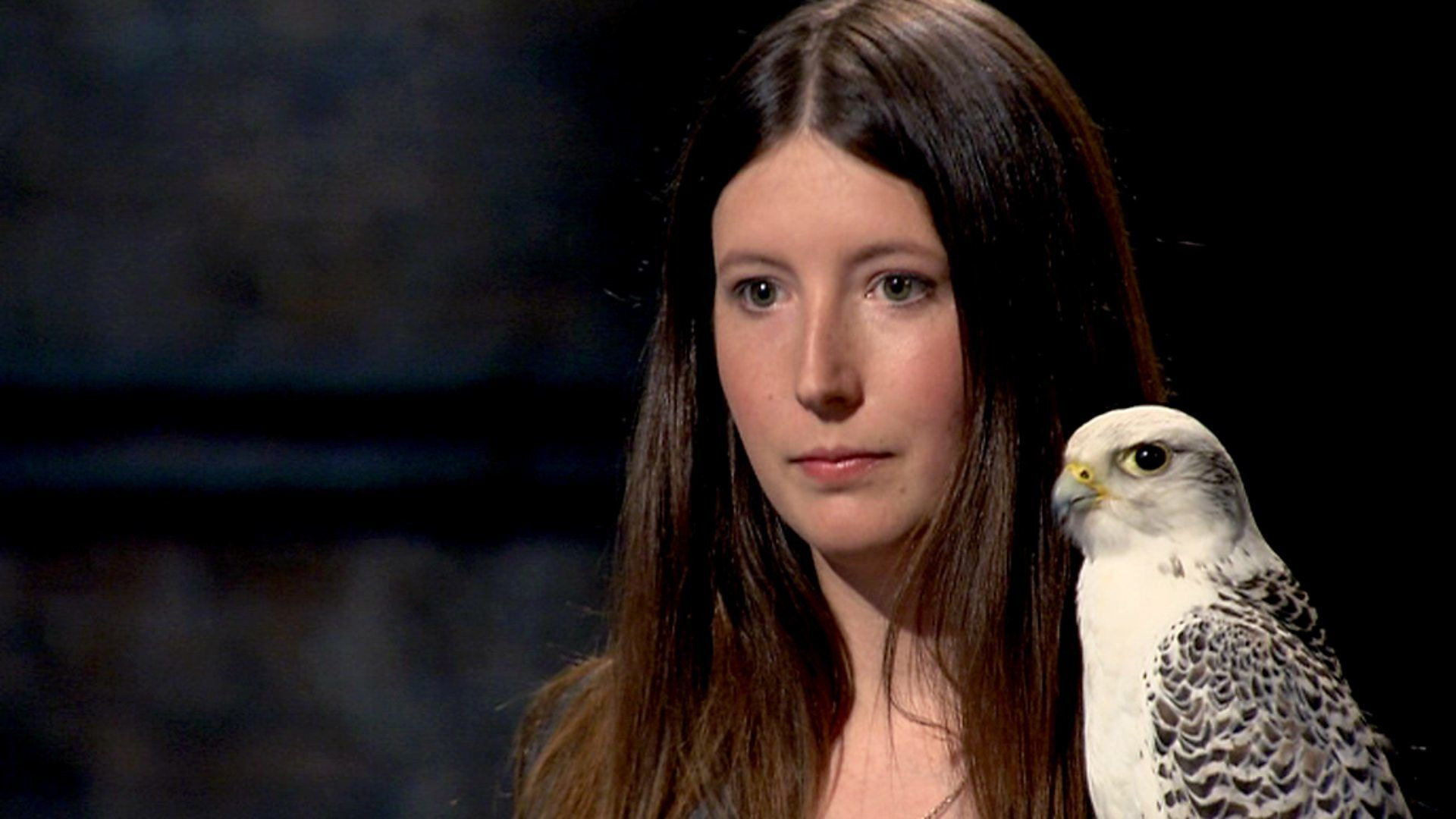 Dragons' Den — s08e04 — Episode 4