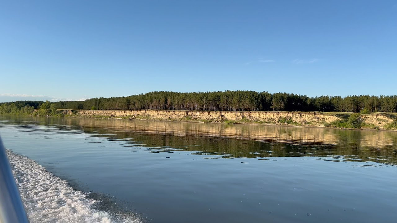 Где Купить Собаку В Камень На Оби