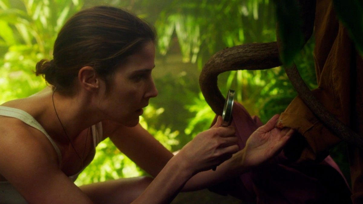 Комната 104 — s03e12 — The Specimen Collector