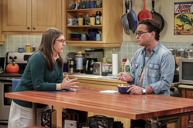 The Big Bang Theory — s10e04 — The Cohabitation Experimentation