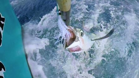 Battlefish — s01e02 — The Eclipse