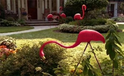 Чудопад — s01e04 — Pink Flamingos