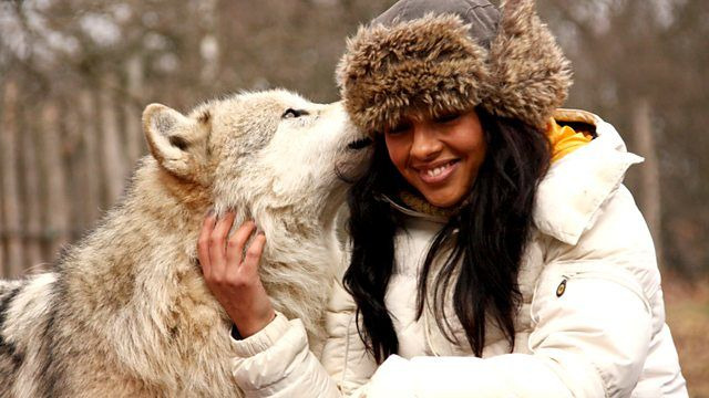 Сенсационное опровержение — s06e08 — Humans and Dogs