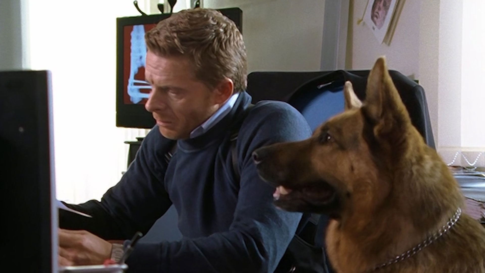 Комиссар рекс 7 4. Комиссар рекс 7 4. Комиссар рекс 7 4. Николас офчарек комиссар рекс. Комиссар рекс 7 4.