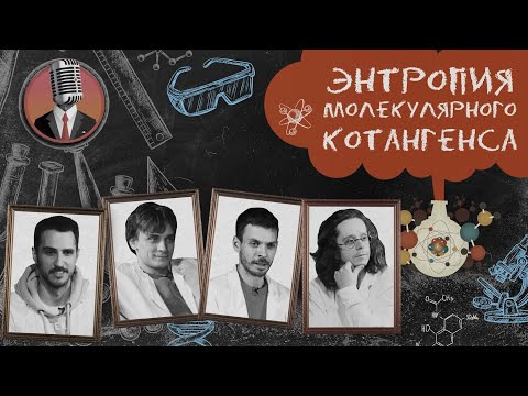 Энтропия молекулярного котангенса — s01e07 — Семинар № 6