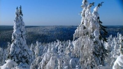 Дикая природа России — s01e06 — Primeval Valleys